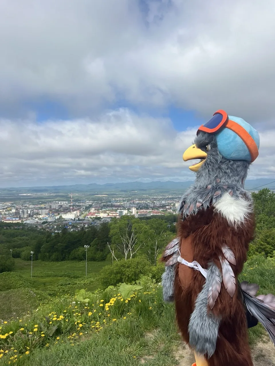 12 июня 🦅 — наш маскот орлан показался на празднике, это новый символ Горного воздуха. Он появлялся