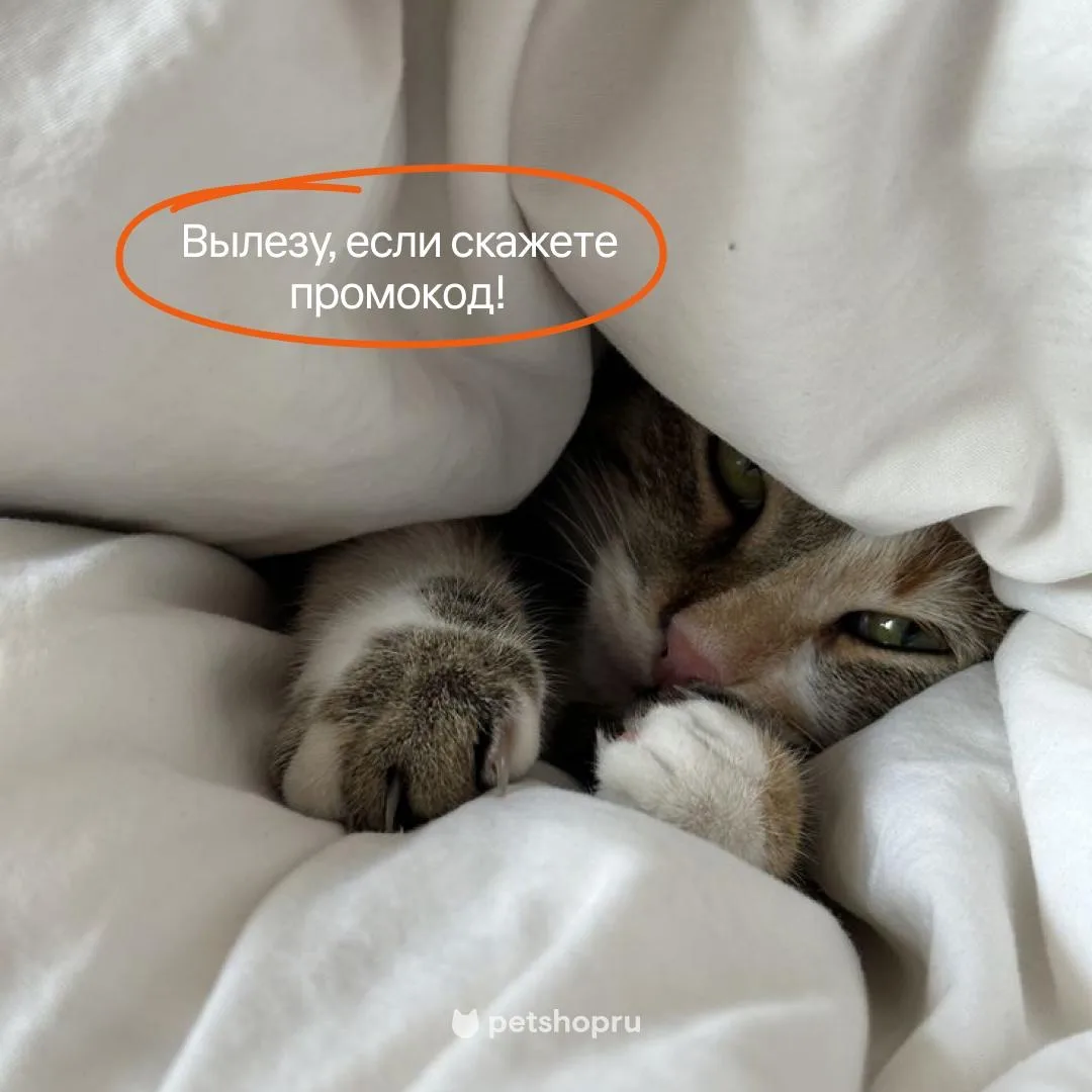 Кто ждал промокод? Вылазьте! 🙌

Промокод BERUVSE10 даёт скидку 10% при заказе от 1000 рублей. 

Тол