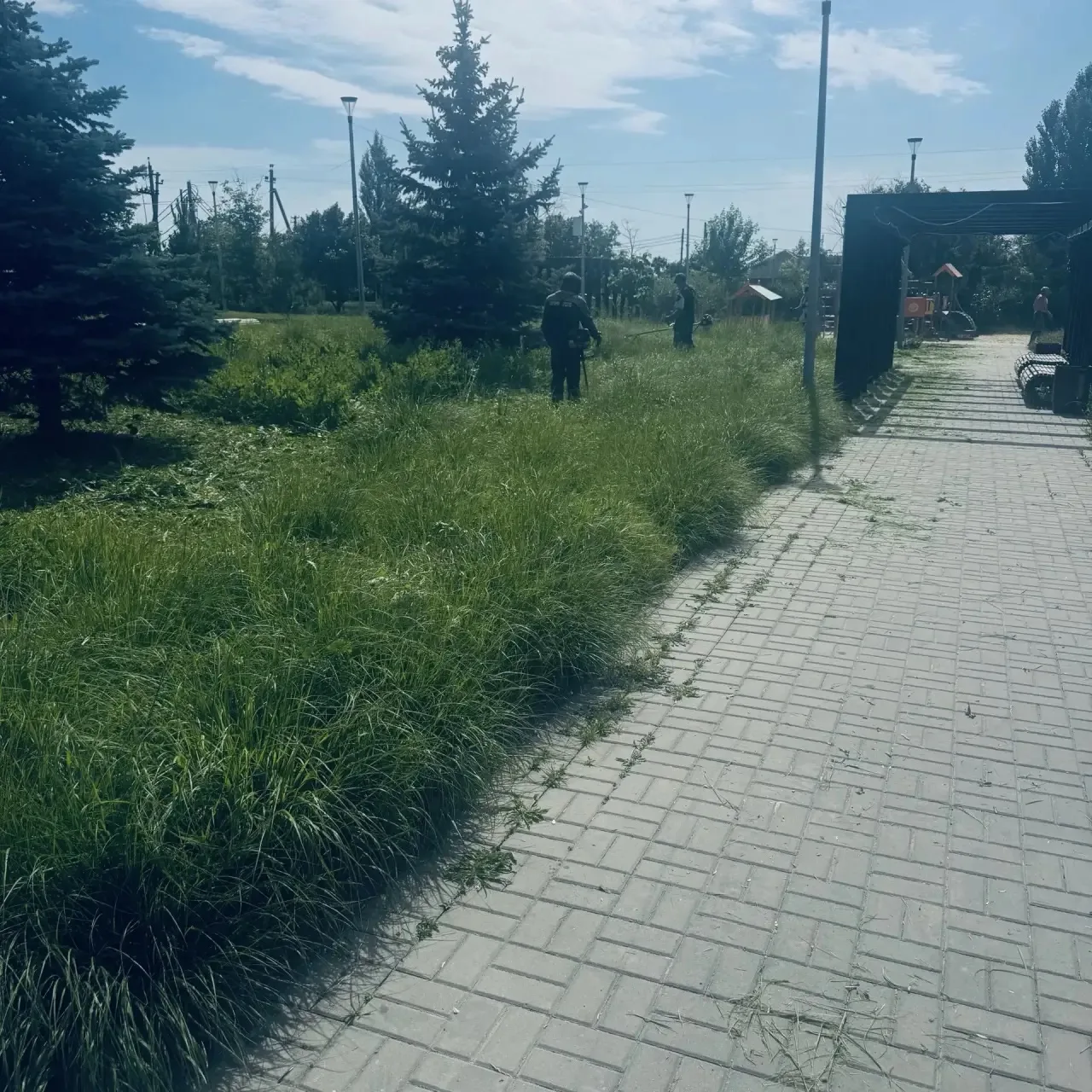 На территории парка ,,Гроздья Реконструктора,, расположенного в пос. Реконструктор  произведен покос