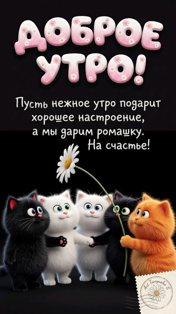 Наш канал
УГОЛОК СЧАСТЬЯ 💝