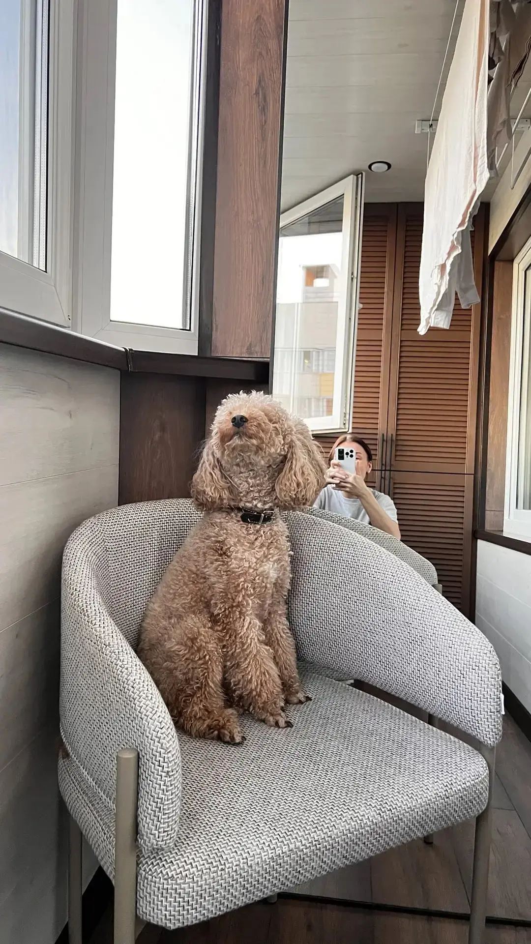 Кто в доме главный оценщик ремонта? 🐾👇
Чебоксары Ул. Богдана Хмельницкого 94/1. 

Когда мы сдавали