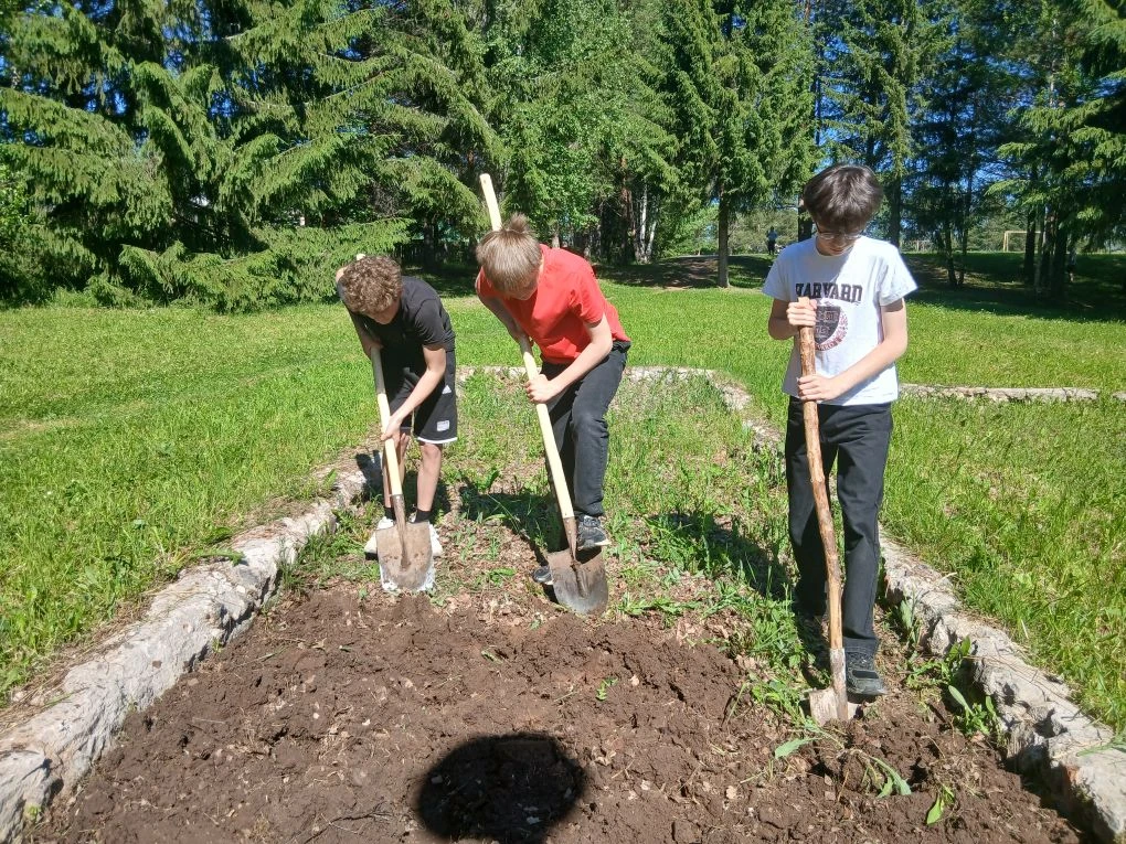 Сегодня в Лагере труда и отдыха ребята вскопали клумбу и высадили на нее георгиии — яркие цвета укра