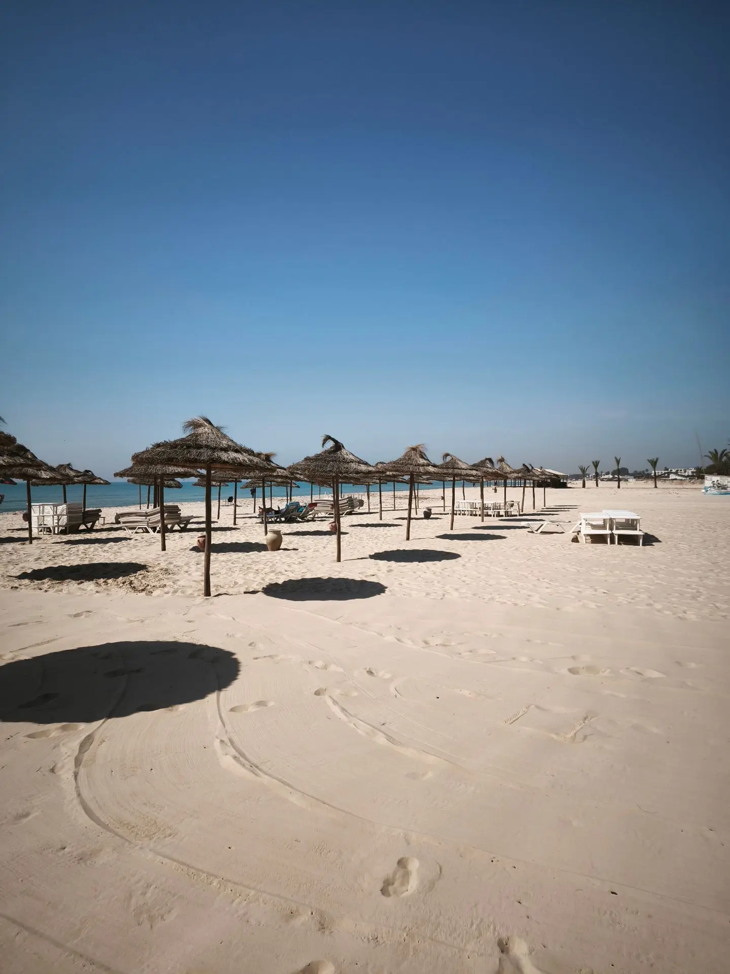 🏖В Тунисе море теплее с каждым днём, а цены на май отличные – летом таких не будет.

На туры с выле
