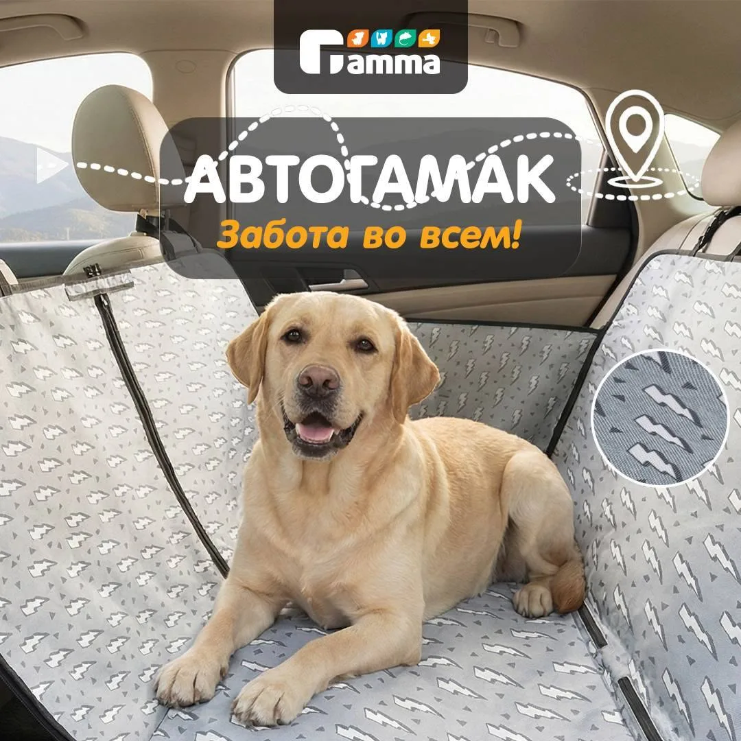 Автогамак Gamma: путешествуем с хвостиком безопасно и с комфортом 🚗

Лето — идеальное время для сов