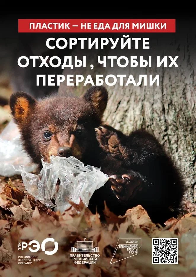 Правильная утилизация мусора — это не просто соблюдение правил, это проявление уважения к окружающей