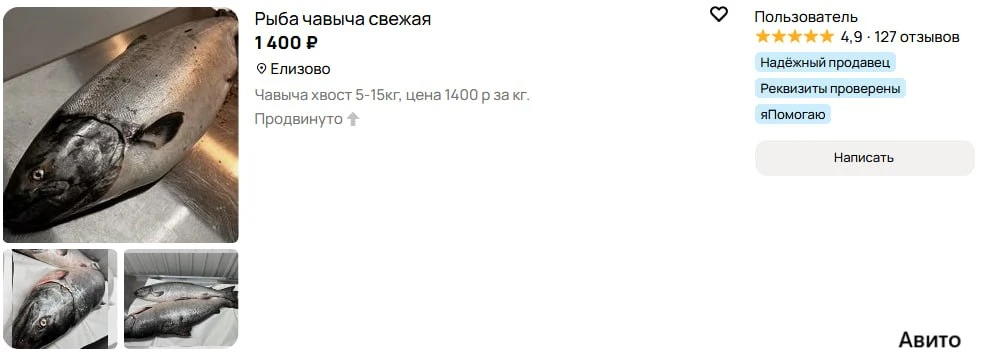 Свежак чавычи на Авито…цены кусаются🥲

⌨️ Общайся в ЧАТЕ