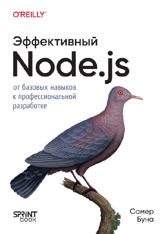 Книга «Эффективный Node.js»

— В данной книге основное внимание уделяется глубокому пониманию асинхр