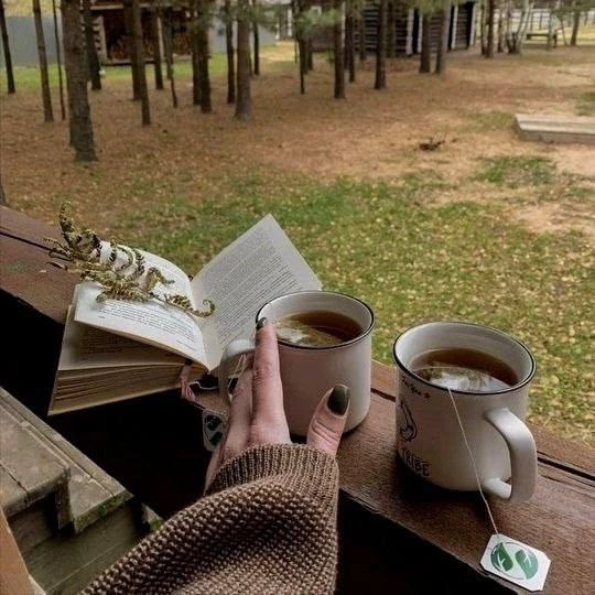 Мысли 💭 

То, что думают о вас другие, принадлежит им и только им. Это их восприятие, это их мысли,
