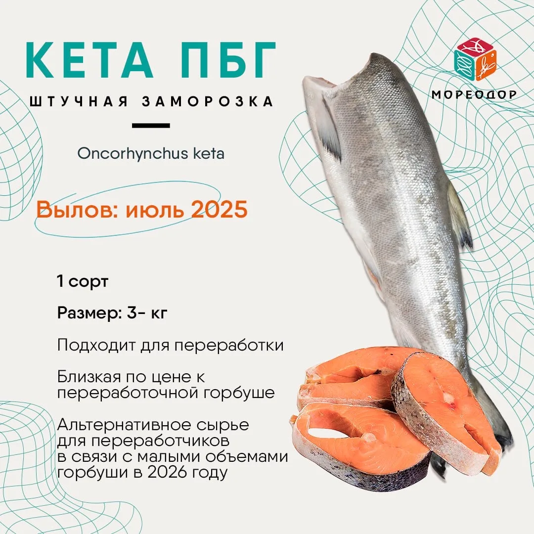 erid: 2VtzqwTL3Q8

КЕТА ПБГ

📆 Вылов: июль 2025
✅ 1 сорт
❄️Штучная заморозка — удобно в розничной т