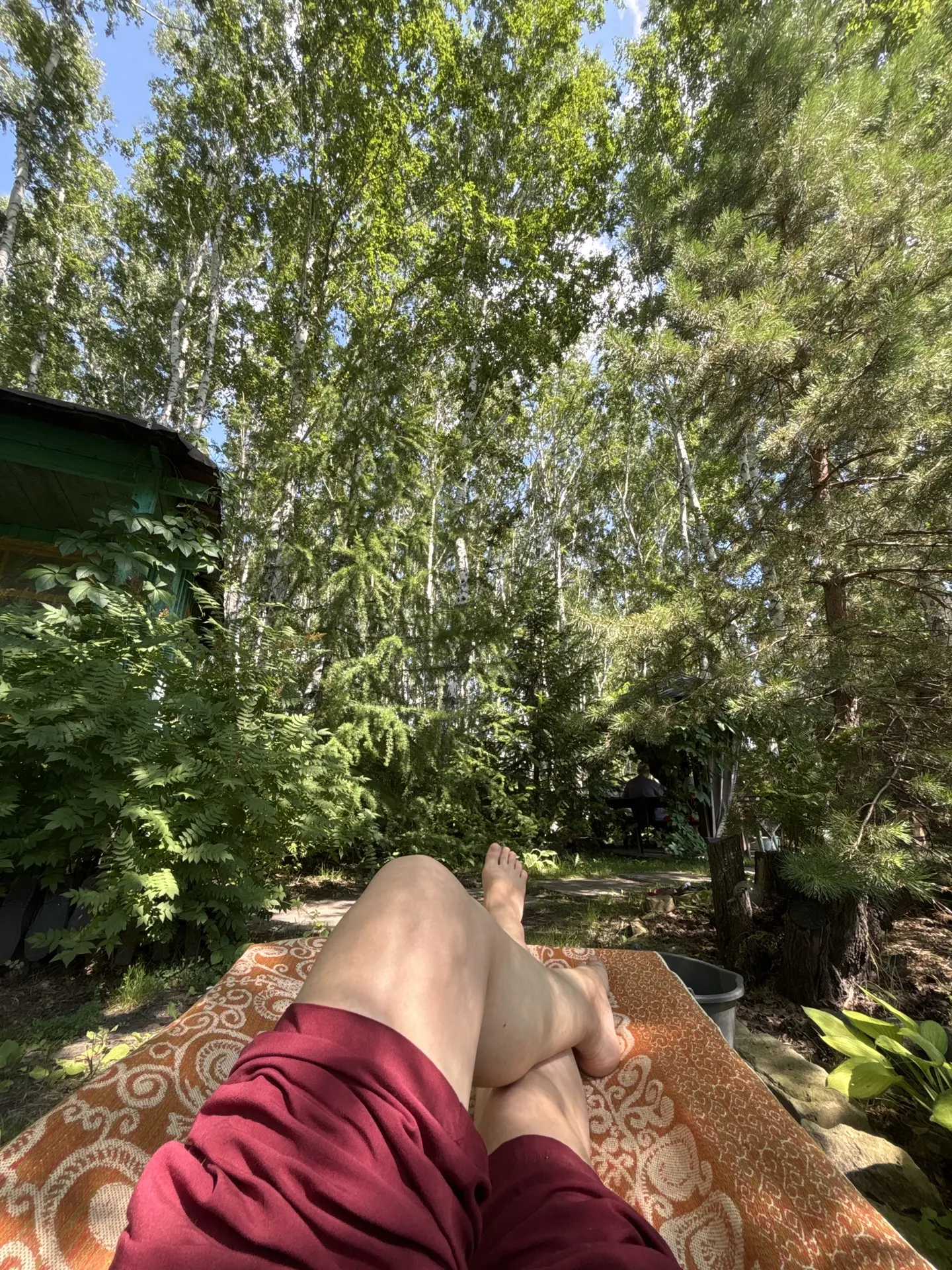 ДАЧНЫЙ ВАЙБ 🌲🏚️🌳

Картошка с тефтельками почти готова, на печке стоит. Супчик грибной готов.

Леж