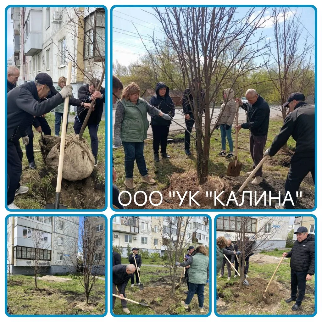 ул.Транспортная, д.26/5 
С жителями приняли участие в акции "Зеленая Башкирия" 💚
Спасибо за совмест