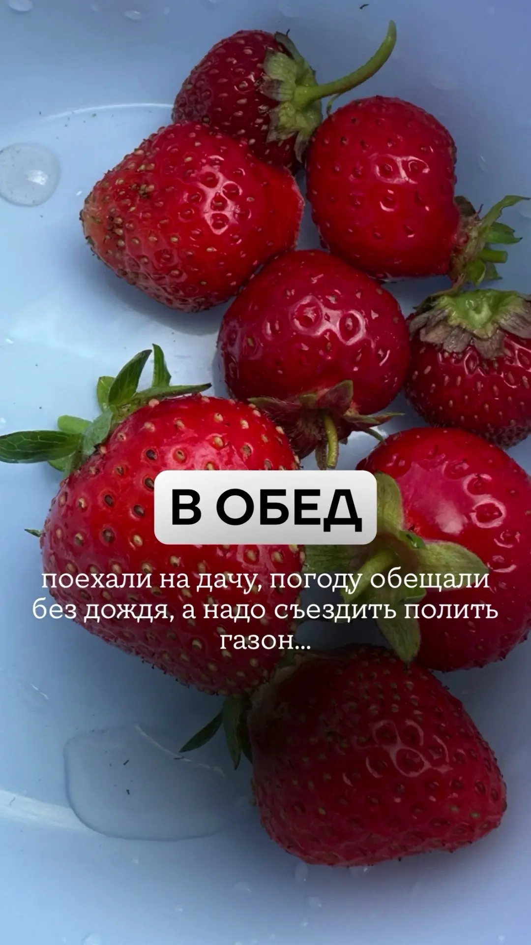 Обещали без дождя…
🤷🏼‍♀️ ну… один прогноз погоды не делает 🤣 это точно
