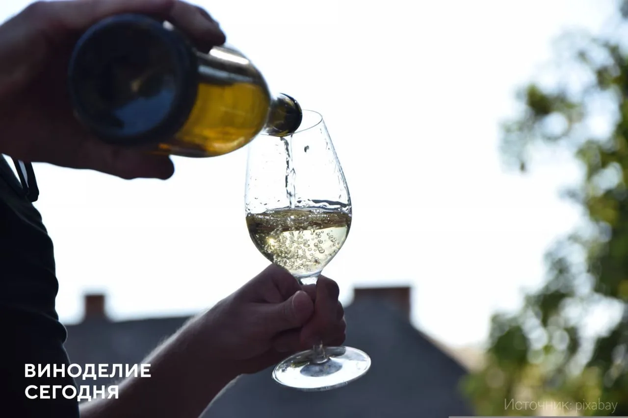 Gunko Winery расширит премиальную линейку Monumental

К уже представленным на рынке красному и игрис