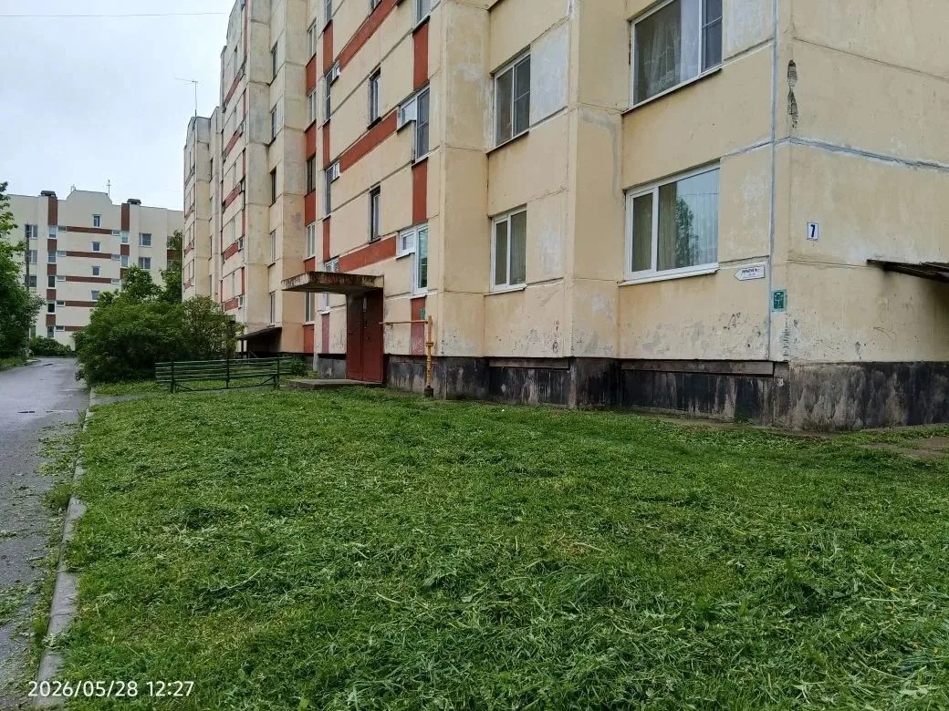 Покос в д. Батово.