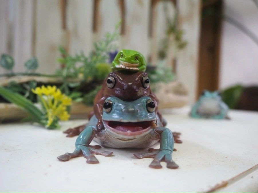 любим лягушек и жабок