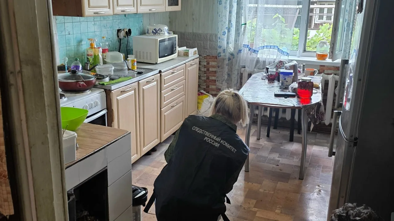 Один удар ножом в сердце: женщина подозревается в убийстве сожителя после пьяной ссоры в Хабаровском