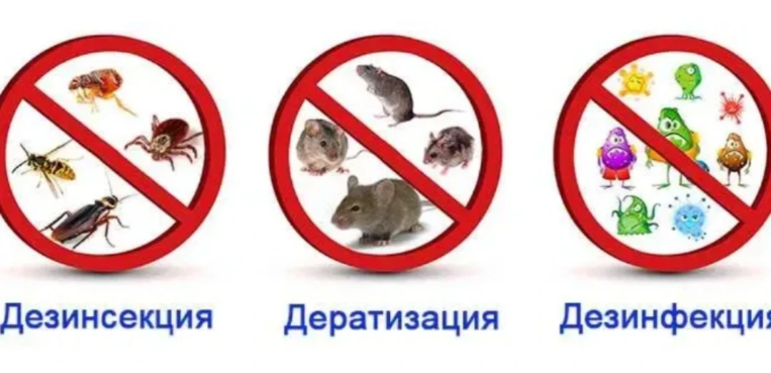 ГБУ Бурзянская райветстанция проводит дезинфекцию, дезинсекцию (акарицидная обработка— против клещей