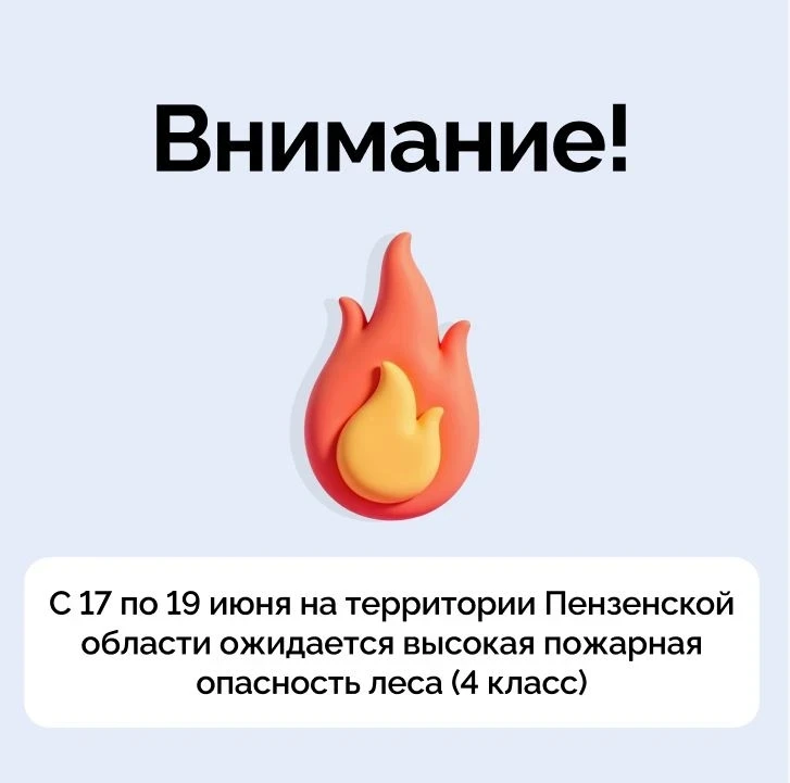 Внимание! C 17 по 19 июня в лесах Пензенской области ожидается высокий уровень пожарной опасности. 
