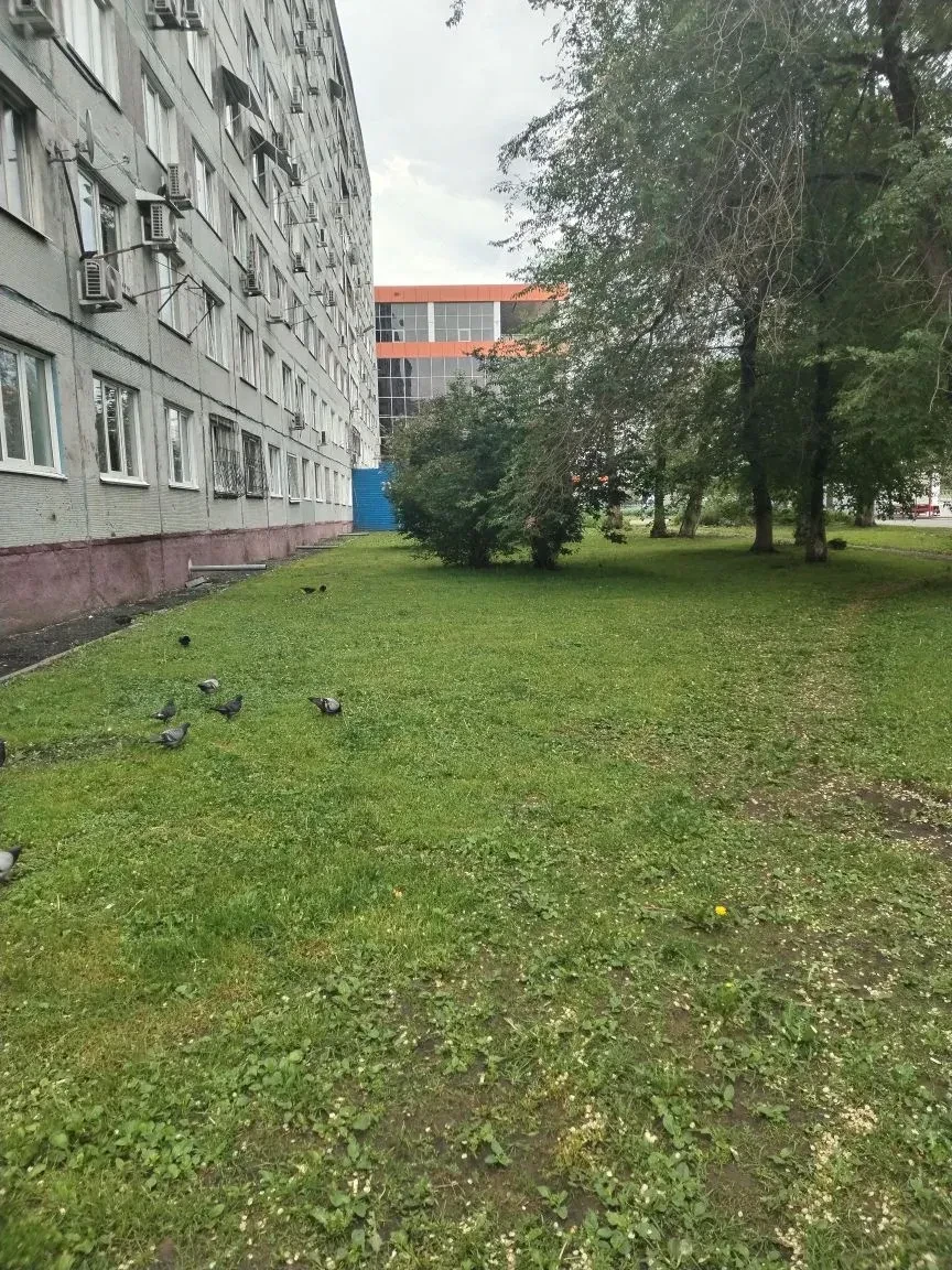 Покос территории дома бр.Строителей, 46.