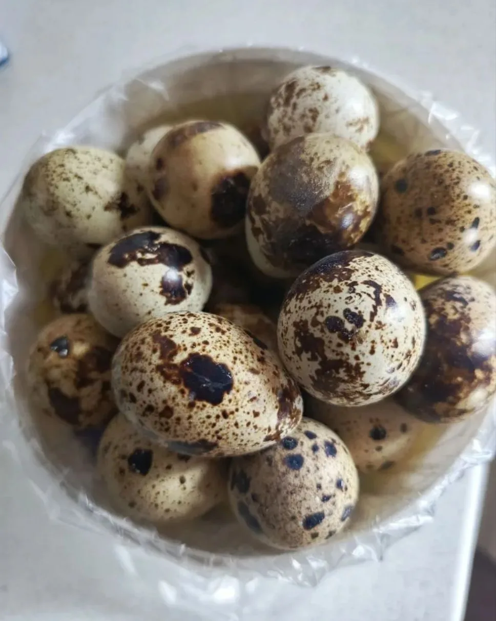 Продам крупные перепелиные яйца, цена 8 руб./шт., инкубационное яйцо – 15 руб./шт (белый техасский).