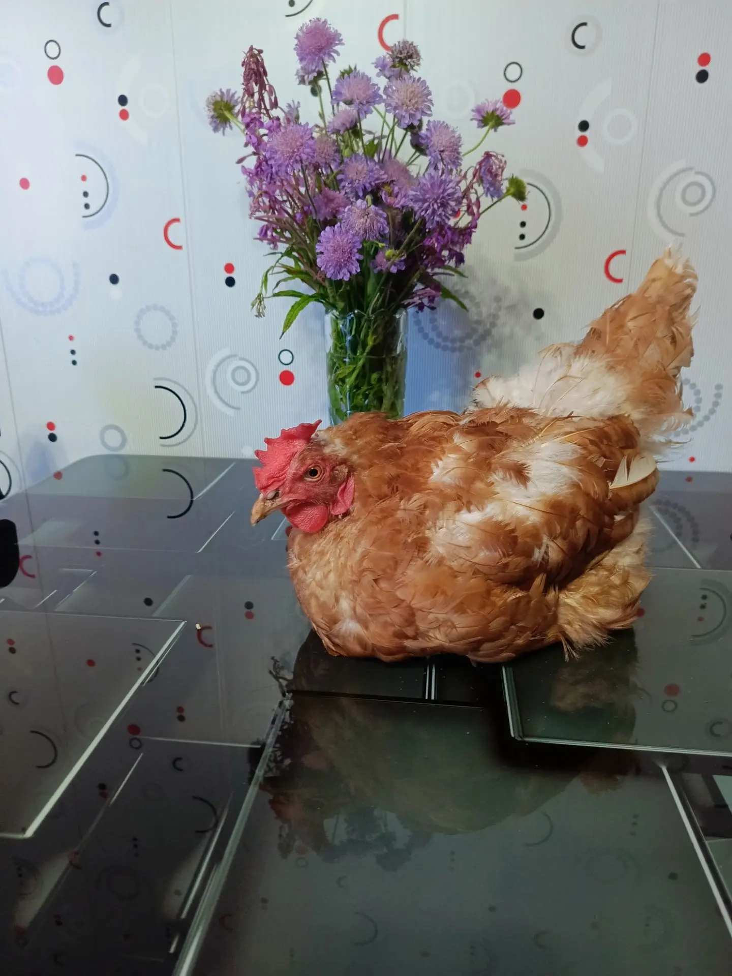 Всем доброго утречка!