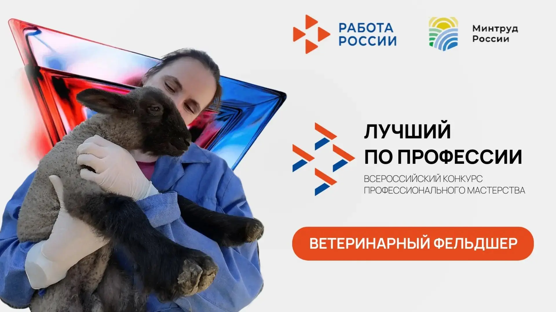 Уже завтра в Карелии назовут лучшего ветфельдшера!

16 июня в Сортавальском колледже пройдет региона