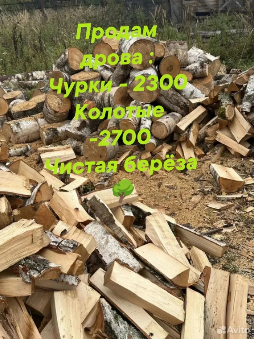 89507850051