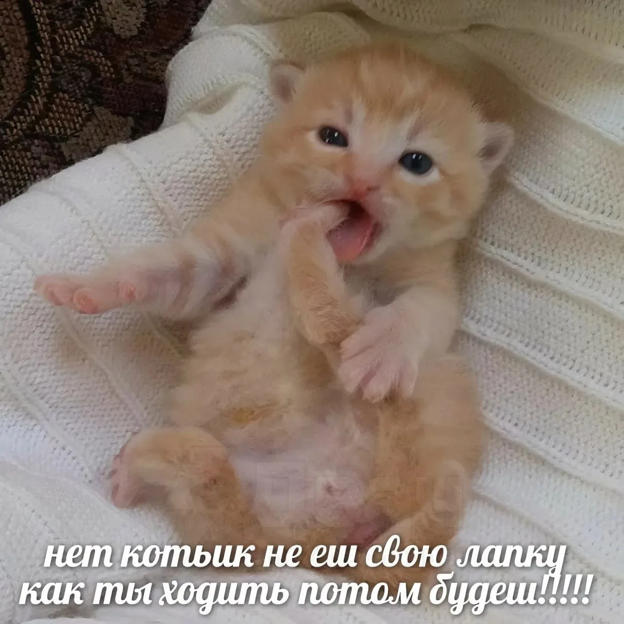 МЕМЫ 24/7-
Подписаться