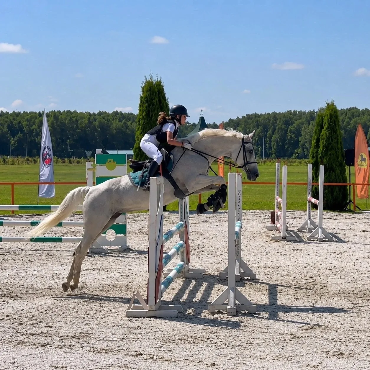 КОНКУР 🐎🐎🐎

В минувшие выходные на базе КСК «Курцево» состоялись муниципальные спортивные соревно