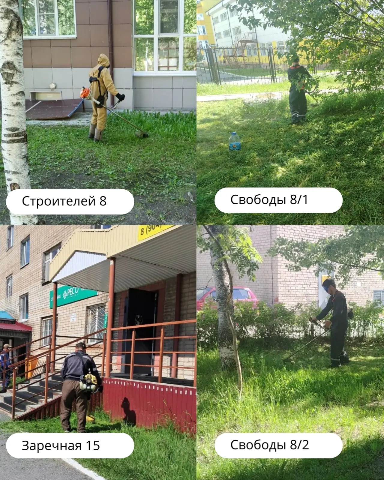 🍃 Тёплый ветер, звон косилки, запах свежескошенной травы… Это лето говорит нам: «Пора приводить дво