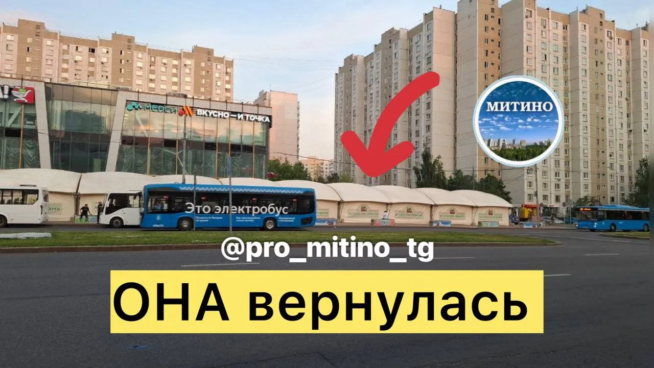 ❗️ЯРМАРКА ВЫХОДНОГО ДНЯ у метро Митино снова заработала.

Она будет работать как минимум до 16 авгус