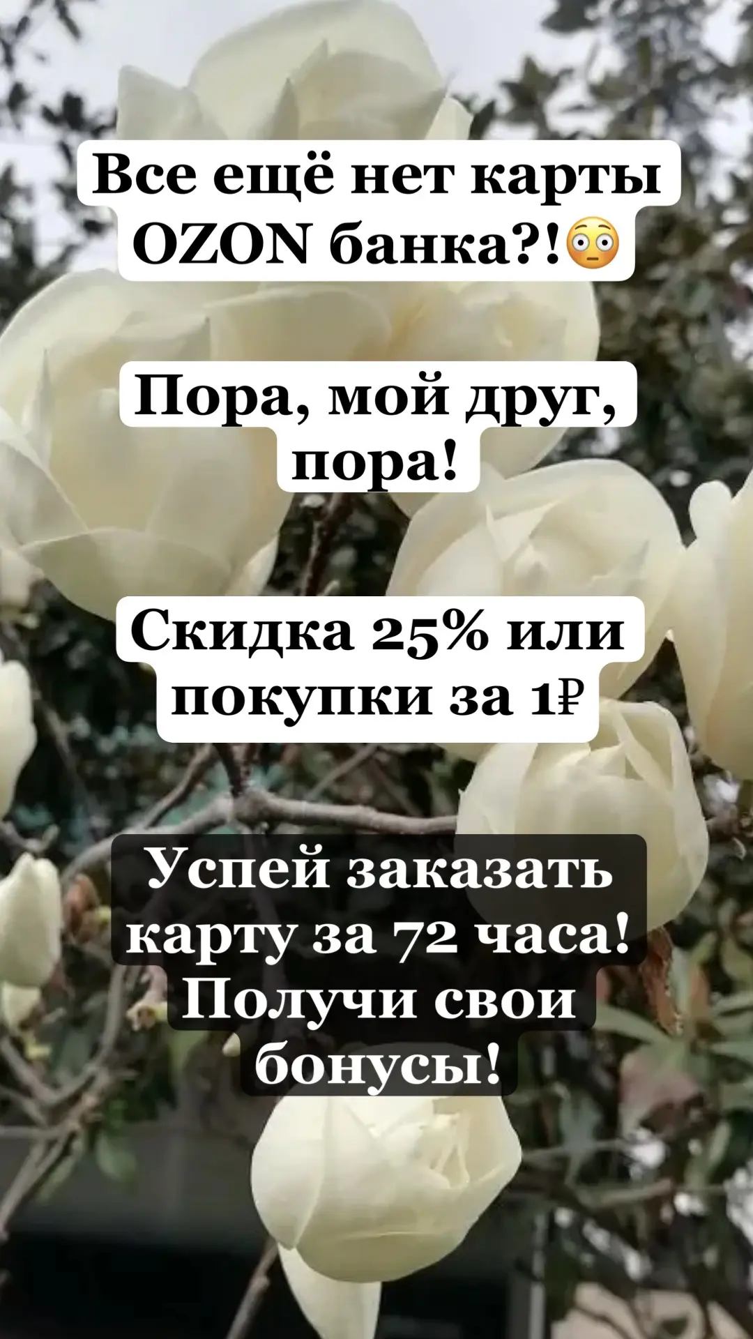 https://ozon.ru/fintech/promo/ref/-IGJK-GXC