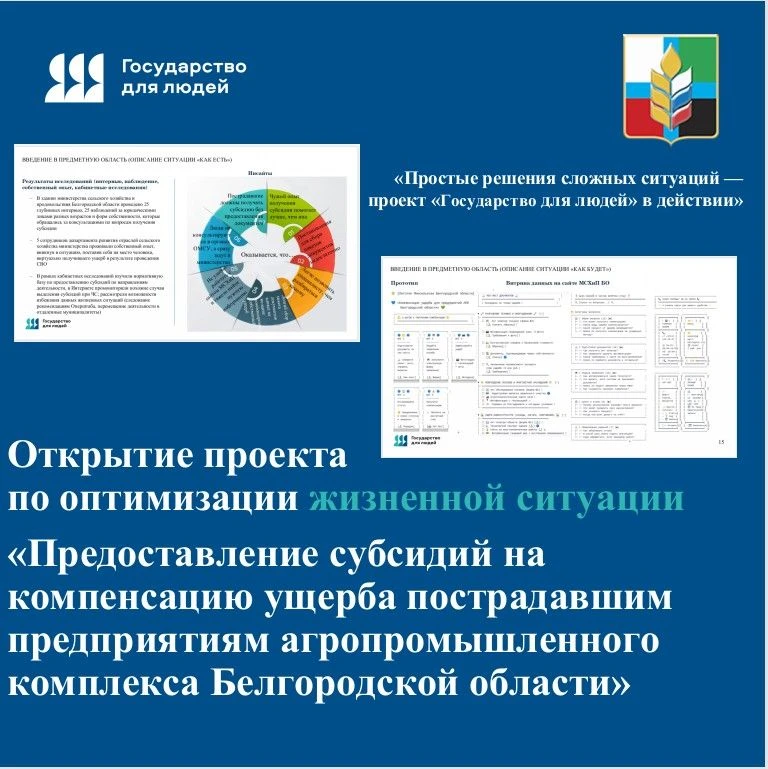 Начинается оптимизация жизненной ситуации «Предоставление
субсидий на компенсацию ущерба пострадавши