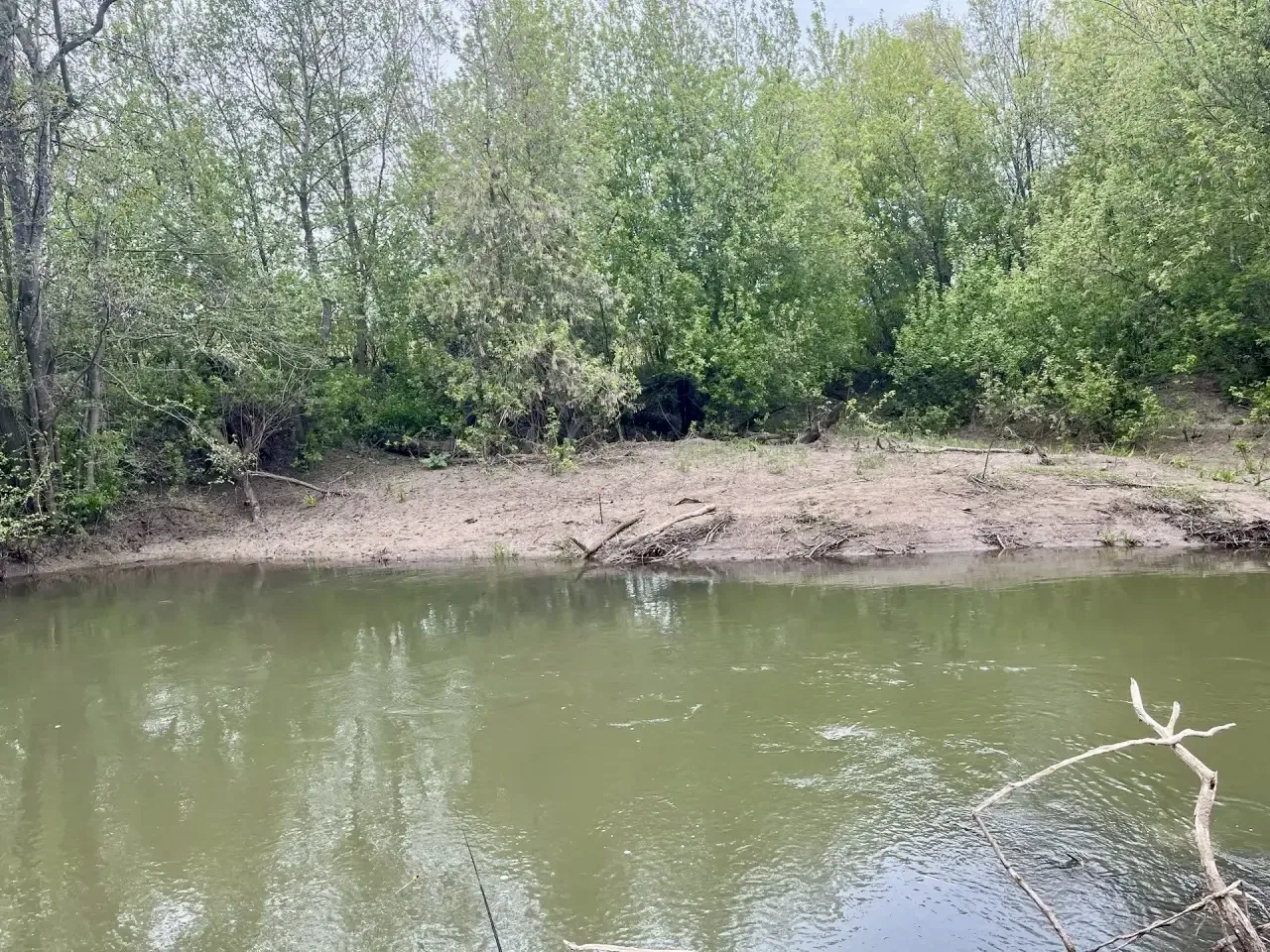 #Отпуск 
Решил попробовать закинуть удочку на новом/старом месте. Никогда на нём ничего не ловил, но