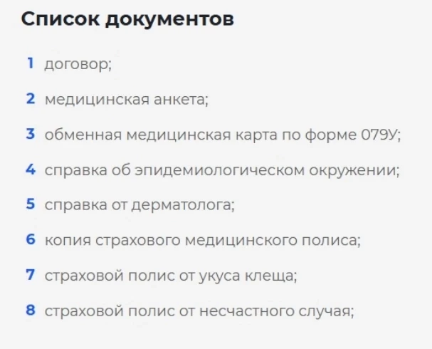 Добрый день, актуальный список документов с сайта лагеря)