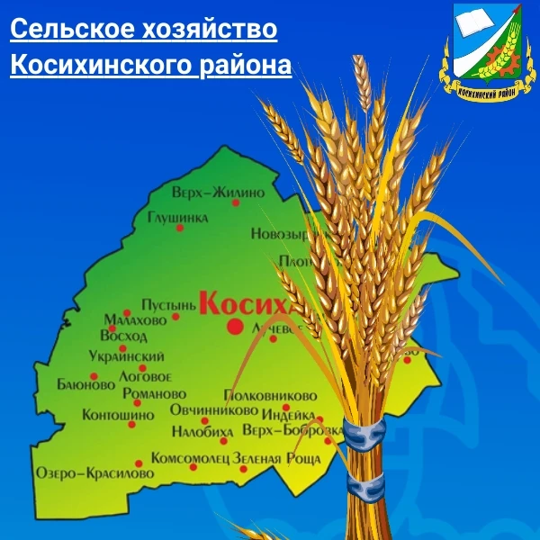 🌾 Посевная в Косихинском районе завершена! Итоги и планы
Аграрии района подвели итоги весенней камп