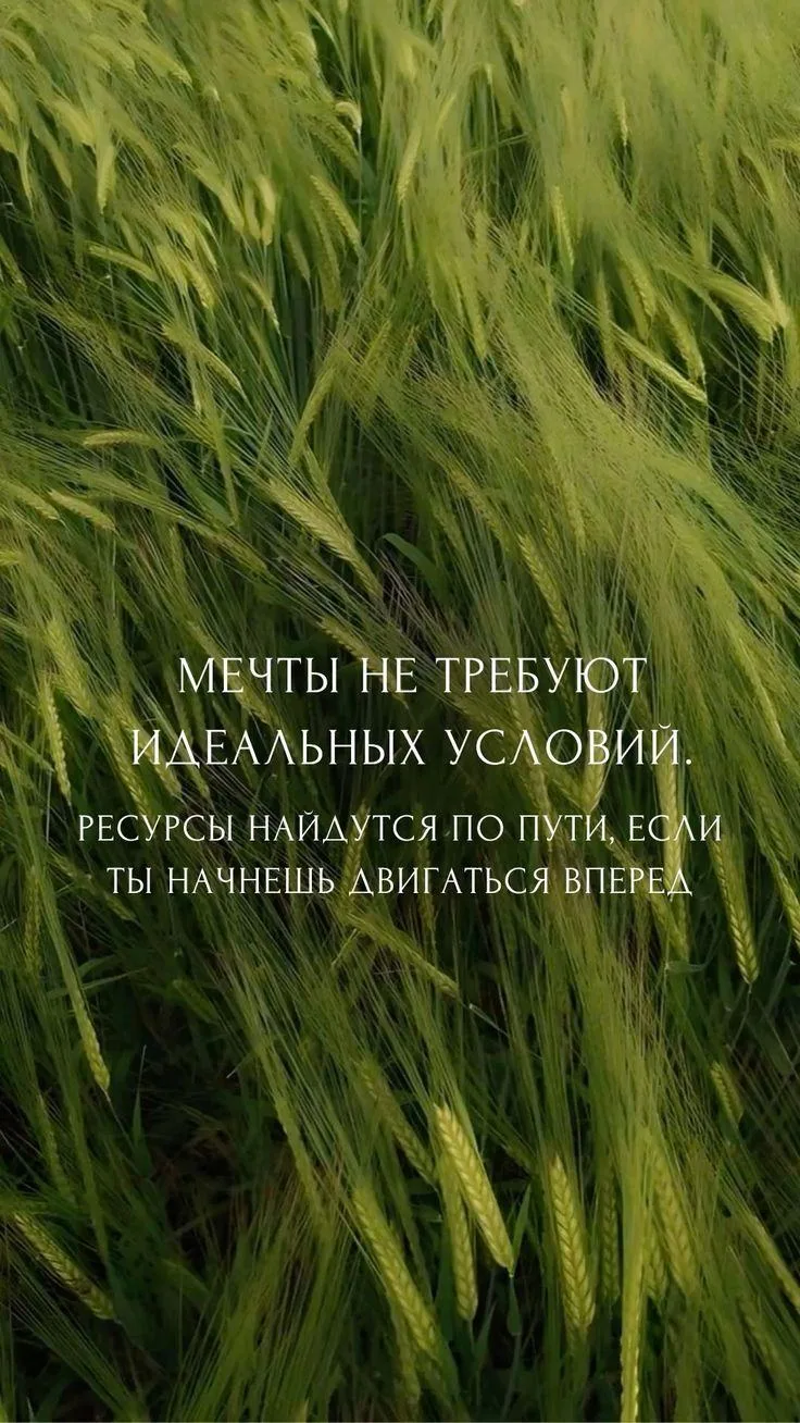 Согласны?