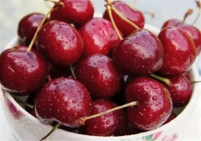 Черешня — полезные свойства ягоды

Черешня — это не только вкусная, но и полезная ягода. Диетологи о