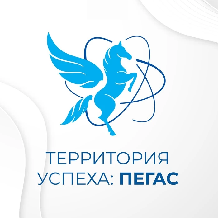 ПОДВЕДЕНЫ ИТОГИ VII МЕЖДУНАРОДНОГО ПРОЕКТА
«ТЕРРИТОРИЯ УСПЕХА: ПЕГАС»

Фонд «АТР АЭС» и программа «Т