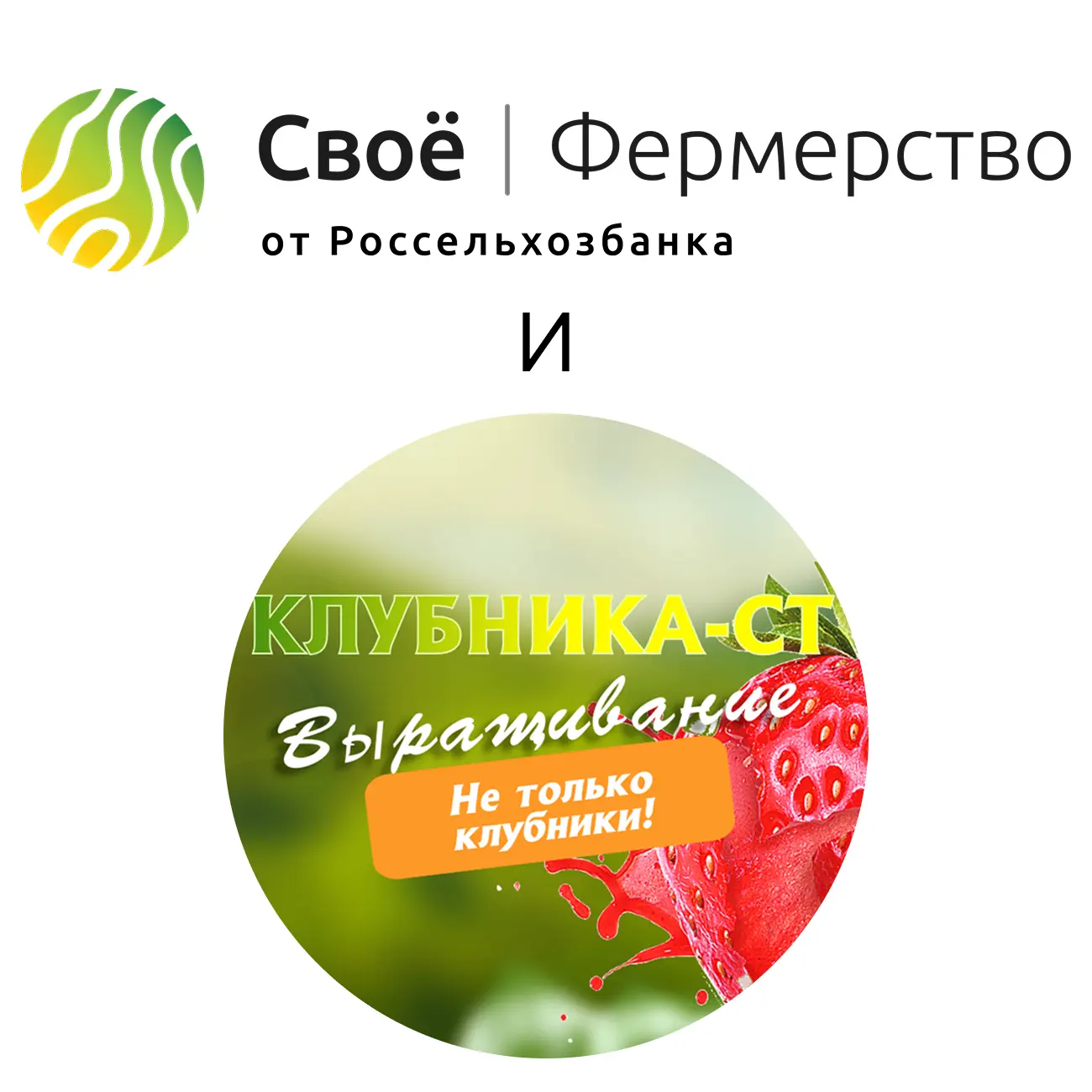 Друзья! 🍓Готовлю новый вебинар на 21 июля. Сейчас самый разгар сезона, и у многих уже есть первые р