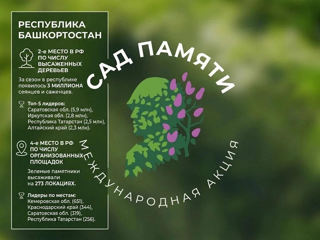 Башкортостан вновь в числе ведущих регионов России по итогам международной акции «Сад памяти»

Орган