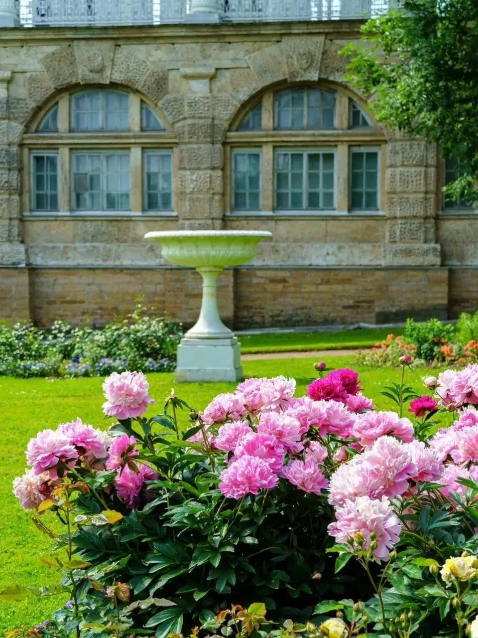 Фрейлинский садик в Екатерининском парке 🌸

📷sharygin_alexandr59

Отправь другу, подпишись на нас 