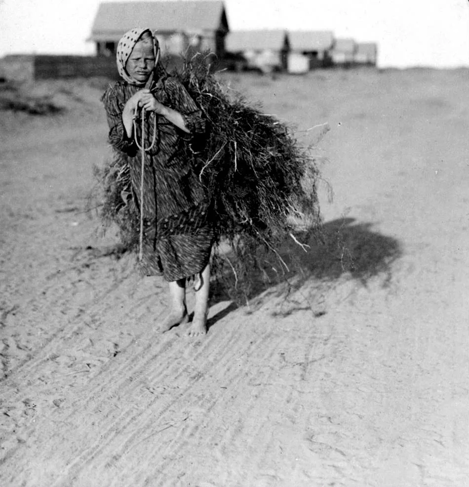 Дореволюционная Россия на фотографиях. Фотограф Захарий Виноградов. 📷

📷Альбом с фотографиями Заха