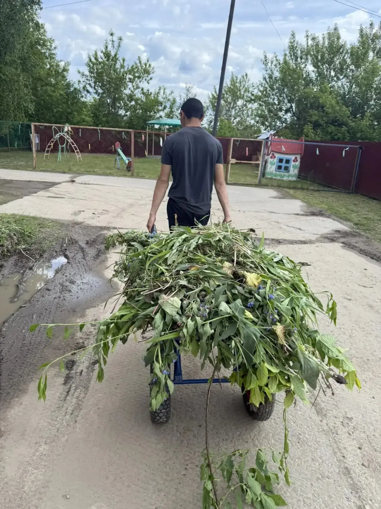 На базе МАУ "КЦСОН Вагайского муниципального округа" прошло июньское трудоустройство для несовершенн
