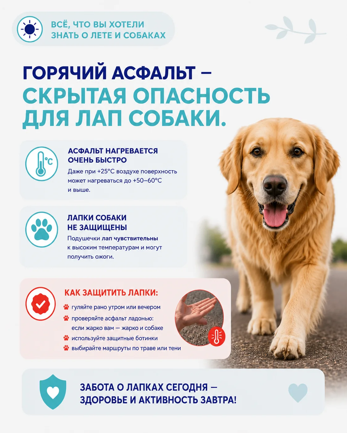 Важная памятка, сохраните и поделитесь.
Спасите чьи-то лапки