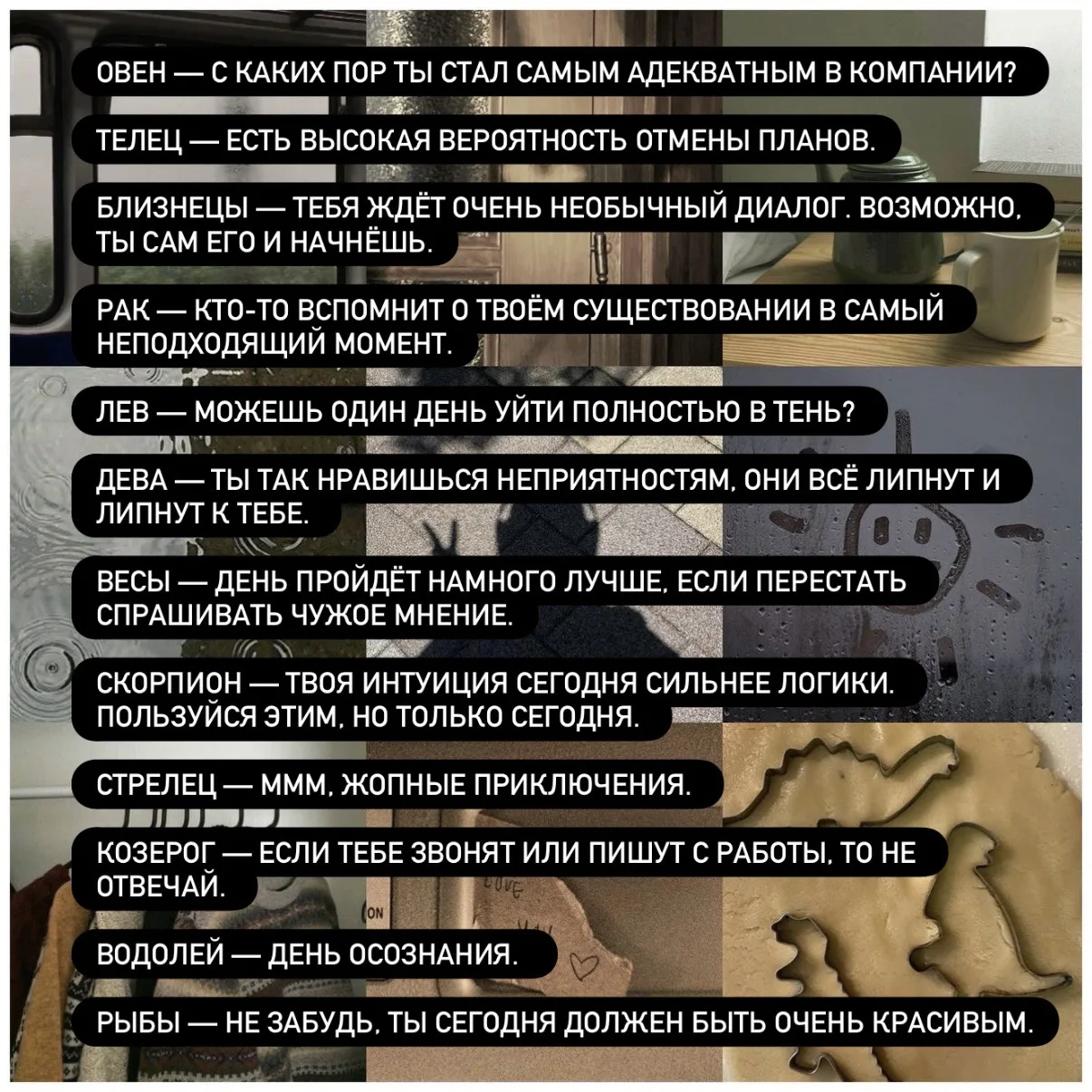 ДОПОЛНИТЕЛЬНЫЙ НА 13 ИЮНЯ

ПОДПИСАТЬСЯ НА КИРЮХУ 👈🏻
