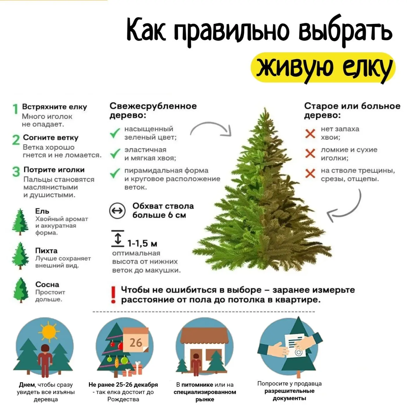 Живая #елка на Новый год: как выбрать и сохранить ее свежесть? Принеся елку домой, дайте ей адаптиро
