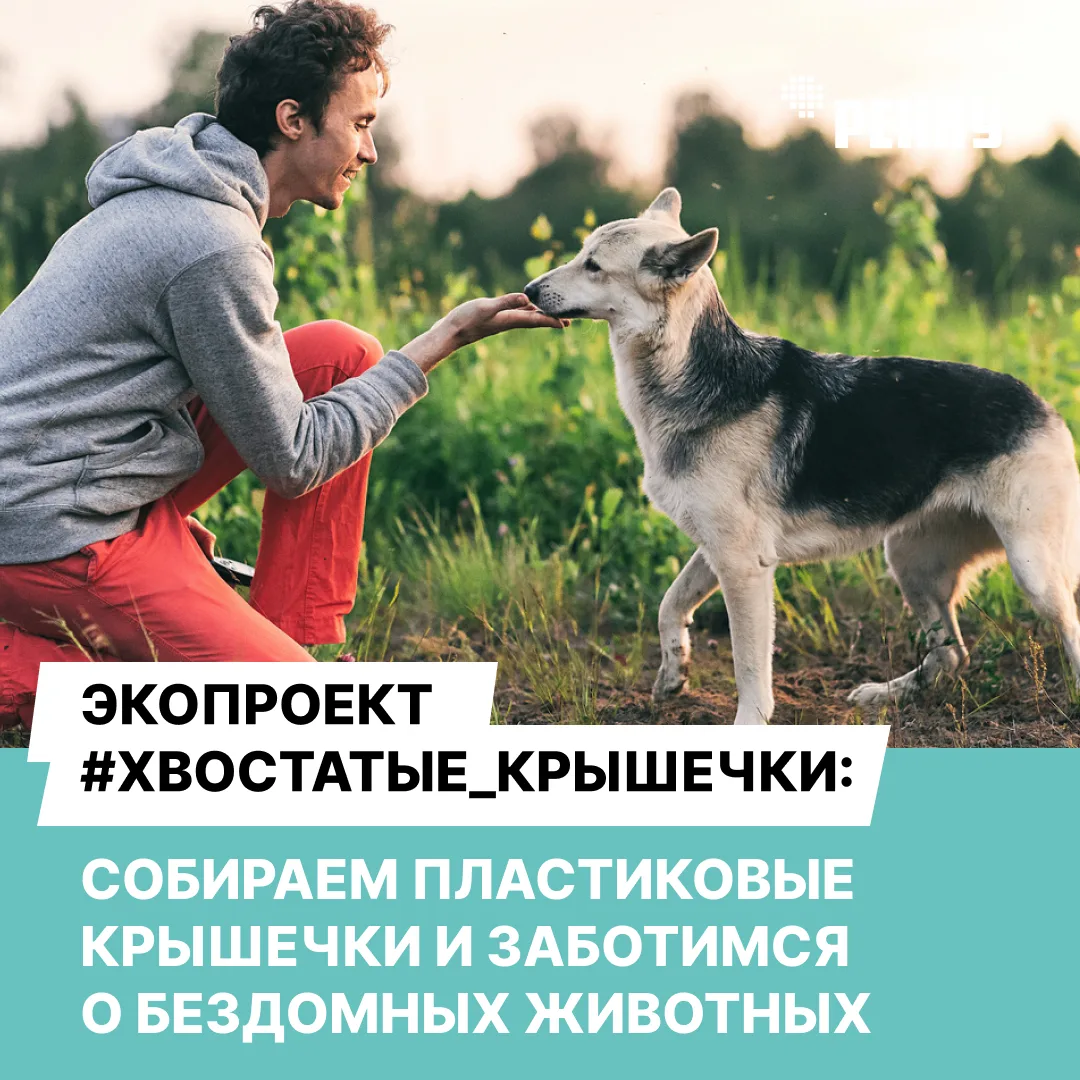 🐶 РЕХАУ и #Хвостатые_крышечки: как мы помогаем бездомным животным

Уже год сотрудники РЕХАУ участву