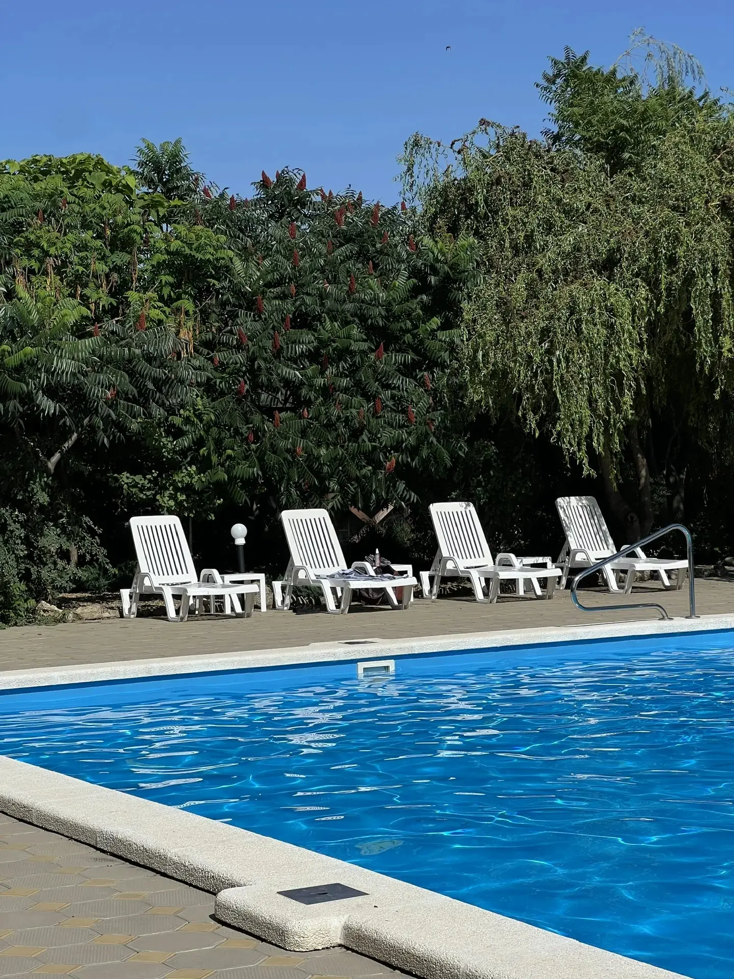 *Розыгрыш ОТДЫХА 

🏝️ *1 место* - Сауна на 2 часа (до 5 человек )
🏖️ К услугам гостей - Бесплатный