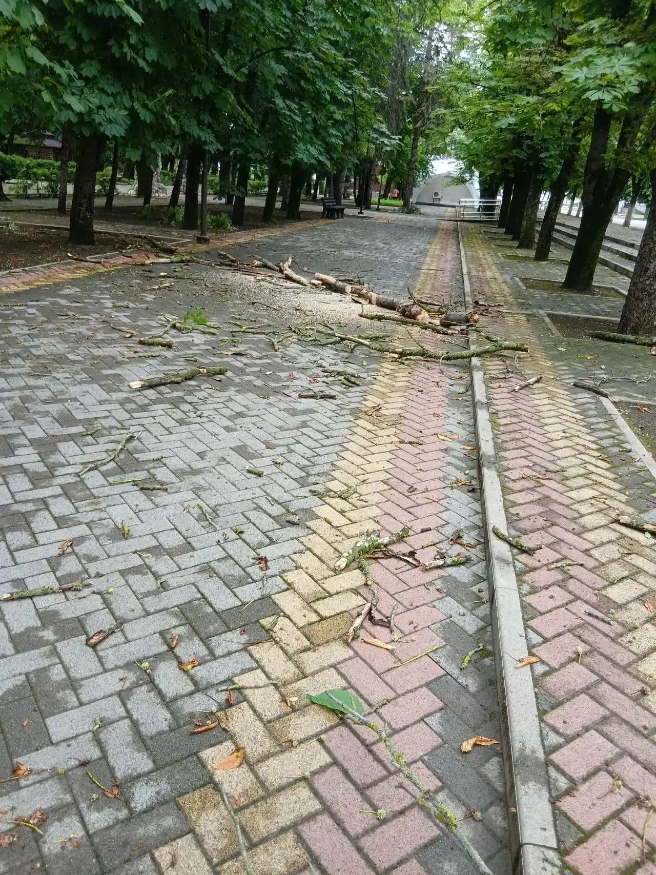 К сожалению, прошедшая ночь выдалась неспокойной. Сильный ветер принес с собой непогоду и, к нашему 